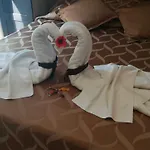 Selenebeach Bed and breakfast